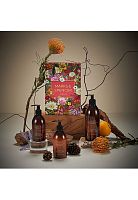 Gift Set Being Calm 2024 Size S - 100% оригинал